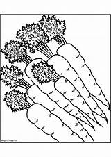 Carrots Coloring Pages  Free Printable For Kids And Adults sketch template