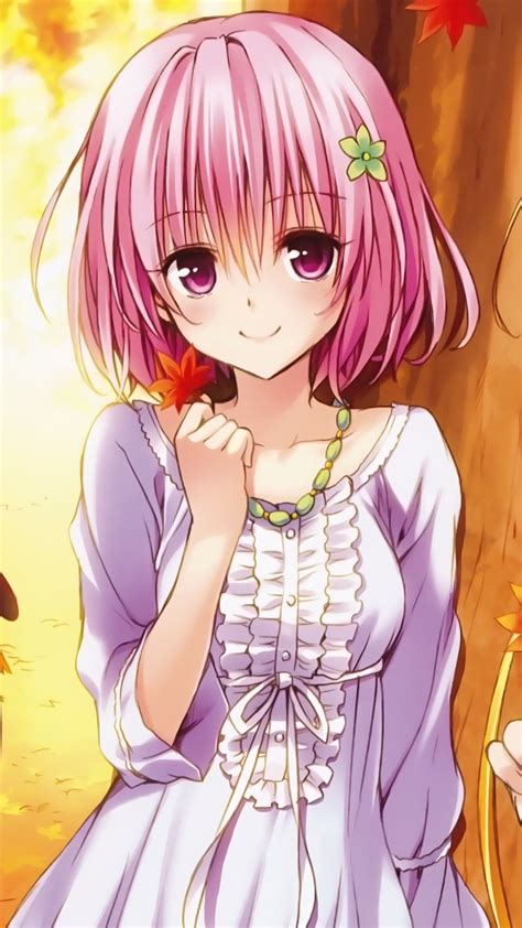 Momo Belia Deviluke Wallpaper | Ragazze anime, Anime dei ragazzi, Anime