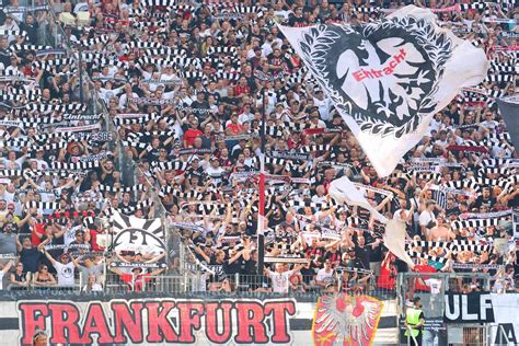 Eintracht Frankfurt News: Ex-Bundesliga-Stürmer für die Rückrunde ...