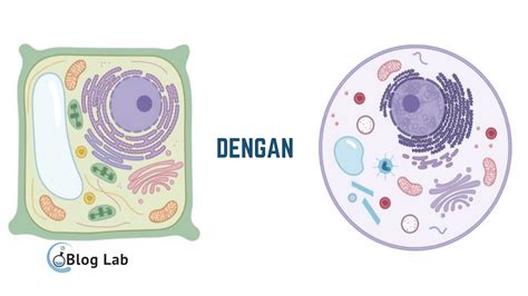 Tabel Perbedaan Sel Hewan dan Sel Tumbuhan