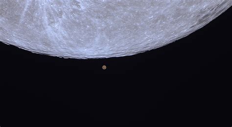 Observing Report: Moon Occults Mars - Sky & Telescope - Sky & Telescope