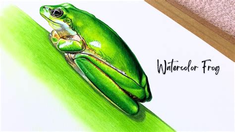 Green Frog Watercolor Painting Tutorial/ Realistic Watercolors - YouTube