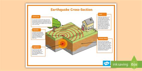 Earthquake Plate Diagram | Earthquake Poster Twinkl