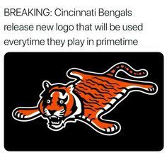 Bengals Suck