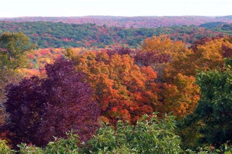 Fall Colors at Algonquin Park and Oxtongue Lake