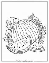 Watermelon Coloring Pages For Kids Free PDF sketch template