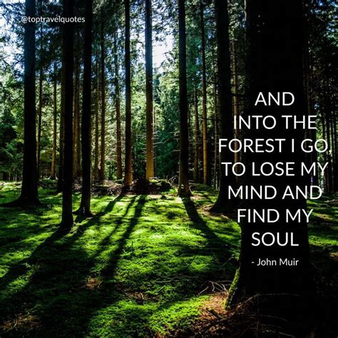 Inspirational quote | Into the woods quotes, Forest quotes, Lake quotes