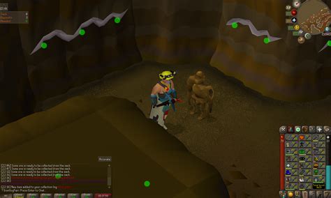 My first ever OSRS pet! : r/ironscape