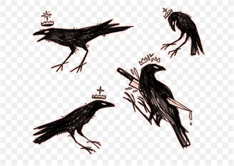 American Crow In The Company Of Crows And Ravens Drawing The Raven, PNG, 665x582px, American ...