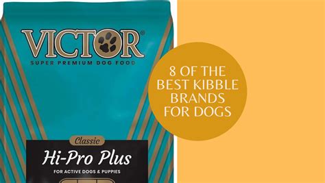 The six best dog food brands for dogs - Valor K9 Academy