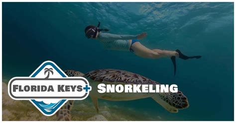 Florida Keys Snorkeling Tours - Florida Keys Plus