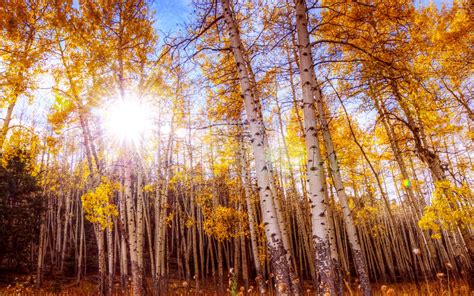 Autumn Sunshine Wallpapers - Wallpaper Cave