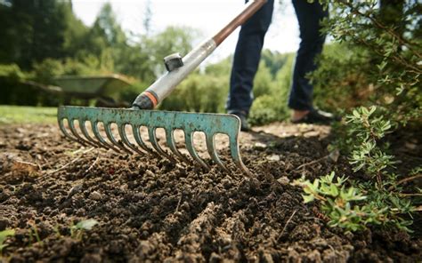 8 Tips to Prepare Your Front Lawn for Spring | Zameen Blog