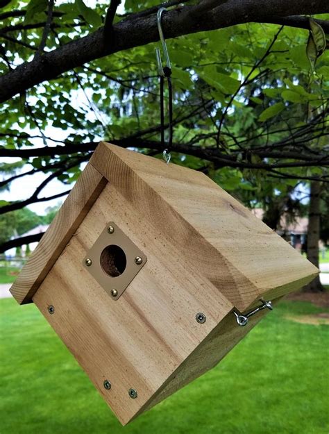 Chickadee Bird House | Etsy | Bird house, Beautiful birdhouses, Chickadee bird