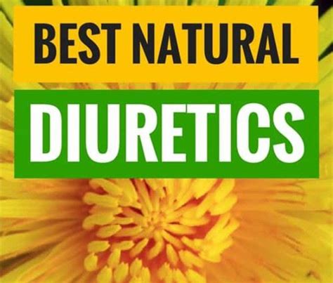 What Are Effective Natural Diuretics? - News - Shaanxi Inhealth Nature Industry Co., Ltd