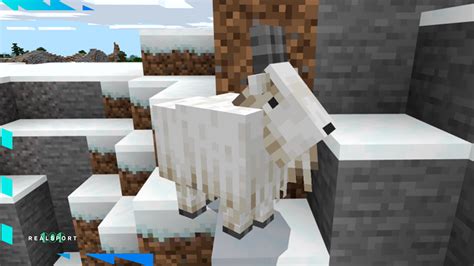 Minecraft Caves & Cliffs New Mobs: Full List, Features & More