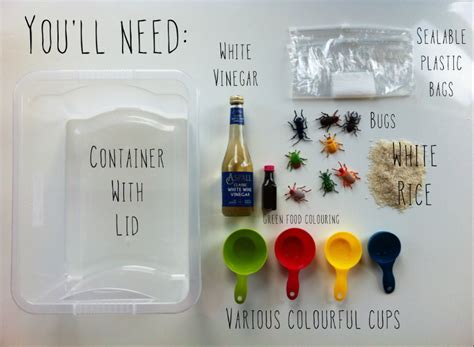 GET YOUR CRAFT ON // DIY SENSORY BOX | WILD & GRIZZLY