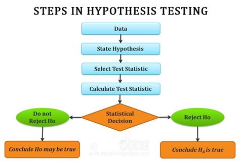 Hypothesis Testing in Statistics: Short-Notes | easybiologyclass