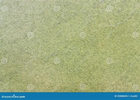 Pastel green paper texture stock photo. Image of antique - 25880828