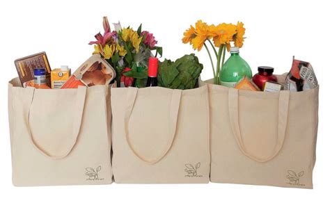 Why More Consumers and Retailers are Embracing Eco-Friendly Bags ...