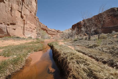 Creek - Horseshoe Canyon Trail, Canyonlands National Park, Utah