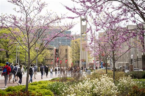 Introducing the Temple University Strategic Plan | Office of the ...