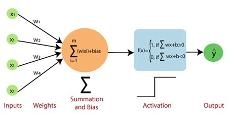 Perceptron Model: The Foundation of Neural Networks | by İlyurek Kılıç | Medium