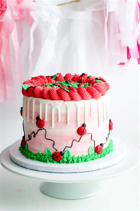 How To Make a Ladybug Cake Design - Find Your Cake Inspiration