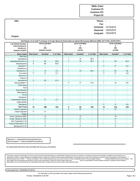 Inconclusive Test results From Airborne Mold : Mold