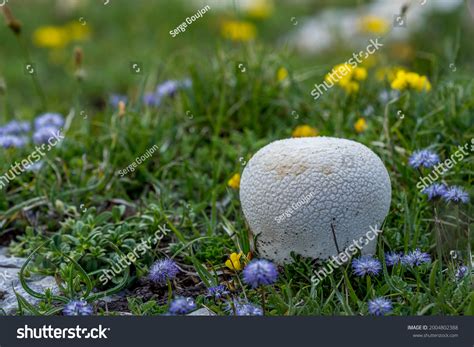 34 Haut Plateaux Du Vercors Images, Stock Photos & Vectors | Shutterstock