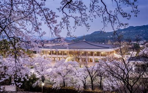 GYEONGJU NATIONAL MUSEUM SPRING – timeofblue