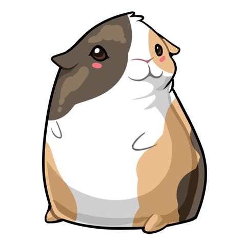 Free Beautiful Guinea Pig 14972355 PNG with Transparent Background