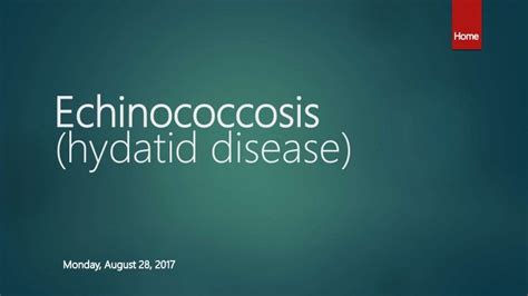 Echinococcosis, signs and symptoms, diagnosis and management.