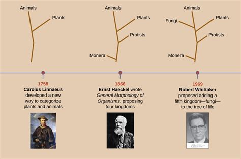 A Systematic Approach | Microbiology