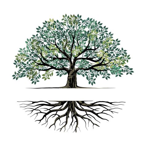 Oak Tree And Roots Logo With Text Space, Oak Tree, Logo, Roots PNG and Vector with Transparent ...