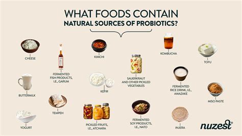 Can You Take Probiotics On An Empty Stomach? – Nuzest SG