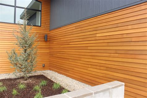 Cedar Siding | Capital Lumber