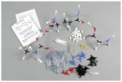 Amino Acids Large Model Set Amino Acids large model set:Teaching Supplies | Fisher Scientific