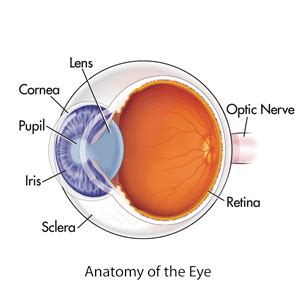 Keratitis, Eye Herpes & Other Corneal Diseases | Cleveland Clinic