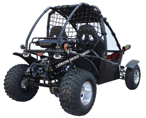 Extreme Motor Sales, Inc > Adult Go Kart/Buggy > MAX 200cc Go Cart Go ...