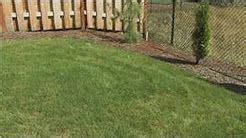 Grass Sod For Sale Near Me: The Best Sod Farms Near You To Buy | Lawn care, Lawn care tips, Lawn