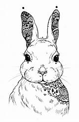 Rabbit Mandala coloring Pages  ColoringLib sketch template