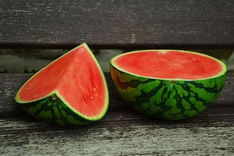 Watermelon: A Brief History // Missouri Environment and Garden News Article // Integrated Pest ...