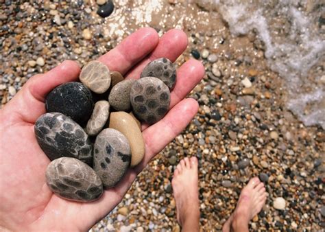 Petoskey Stones and Beach Glass - Up North Entertainment