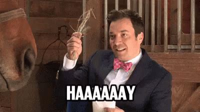 Hay Girl GIF - Jimmy Fallon Hay Literal - Discover & Share GIFs