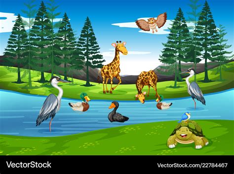 Many animals in nature Royalty Free Vector Image