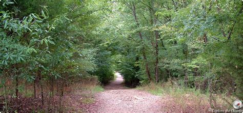 Beavers Bend Hiking Trails - explanations and quick facts | Park trails, State parks, Beaver bend