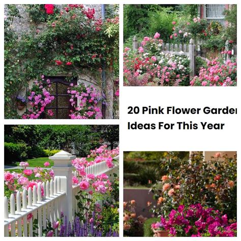 20 Pink Flower Garden Ideas For This Year | SharonSable