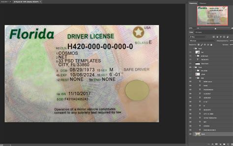 Florida Driver License USA