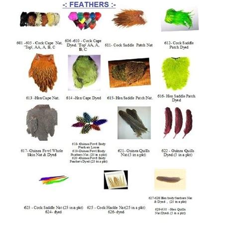 Fly Tying Feathers at Best Price in Kolkata, West Bengal | Mighty Fishing